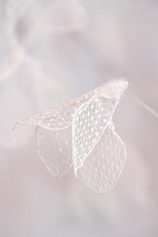 Détail sur des fleurs en dentelle au poinct de Tulle de l'oeuvre d'Annie Bascoul Bouquet de Tulle