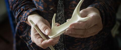 Des mains tiennent un élément de porcelaine en forme de bois de cerf