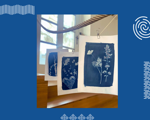 Cyanotypes en train de sécher